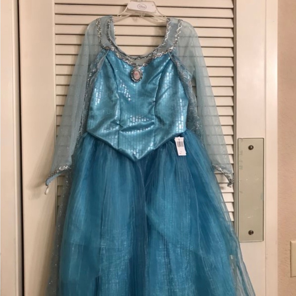 Disney Parks Authentic Elsa Costume